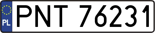 PNT76231