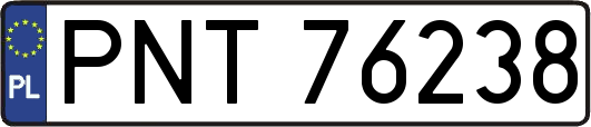 PNT76238