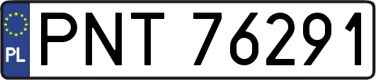 PNT76291