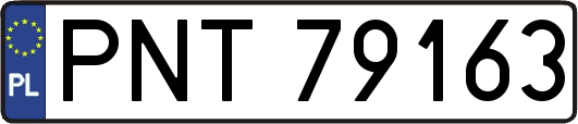 PNT79163