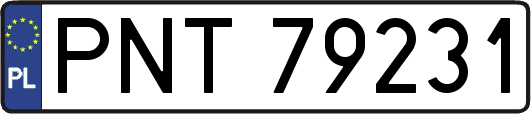 PNT79231