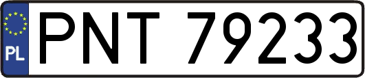 PNT79233