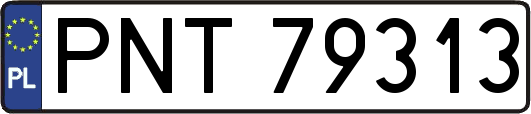 PNT79313