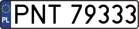 PNT79333