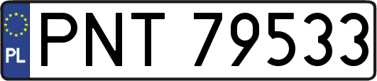 PNT79533