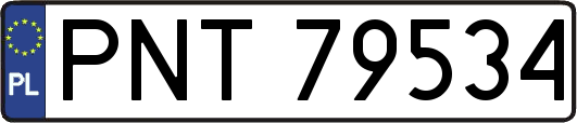 PNT79534