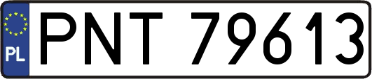 PNT79613