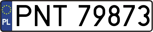 PNT79873