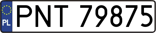 PNT79875