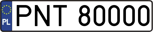 PNT80000