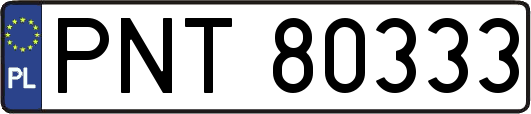 PNT80333