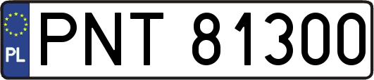 PNT81300