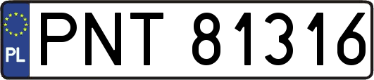 PNT81316