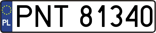 PNT81340