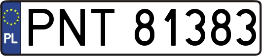 PNT81383