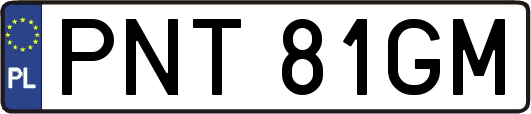 PNT81GM