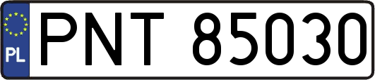 PNT85030