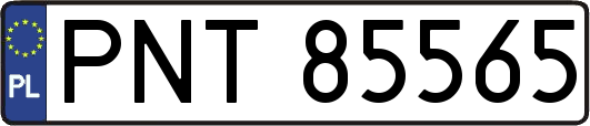 PNT85565