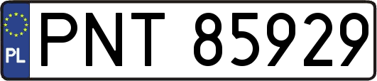 PNT85929