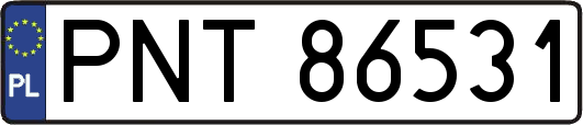 PNT86531