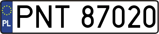 PNT87020