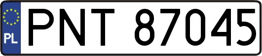 PNT87045