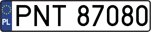 PNT87080