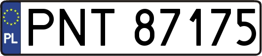 PNT87175