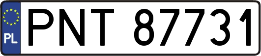 PNT87731