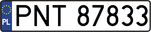 PNT87833