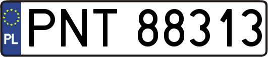 PNT88313