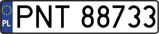 PNT88733