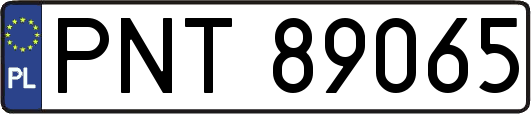 PNT89065