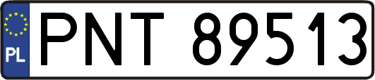 PNT89513