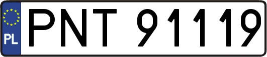 PNT91119