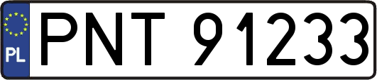 PNT91233