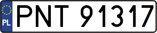 PNT91317