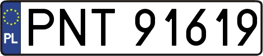 PNT91619