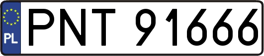 PNT91666
