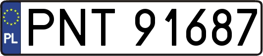 PNT91687