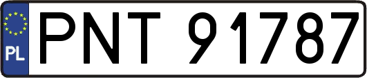 PNT91787