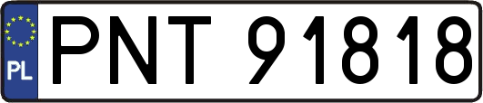 PNT91818