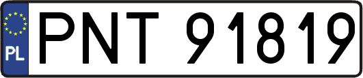 PNT91819