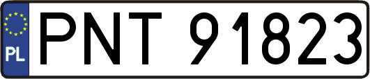 PNT91823