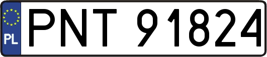 PNT91824