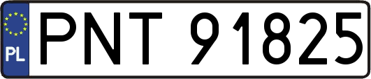 PNT91825