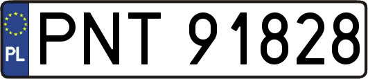 PNT91828