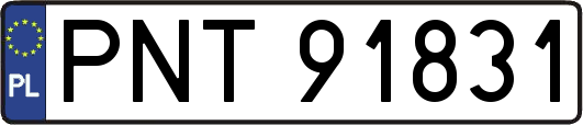 PNT91831