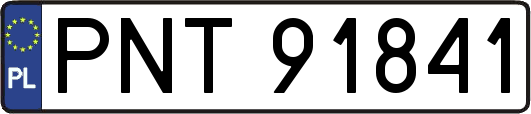 PNT91841