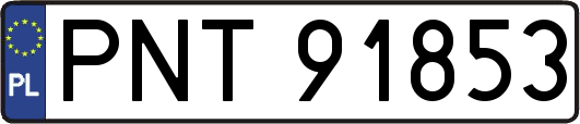 PNT91853